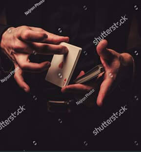 Zoom Image 1
