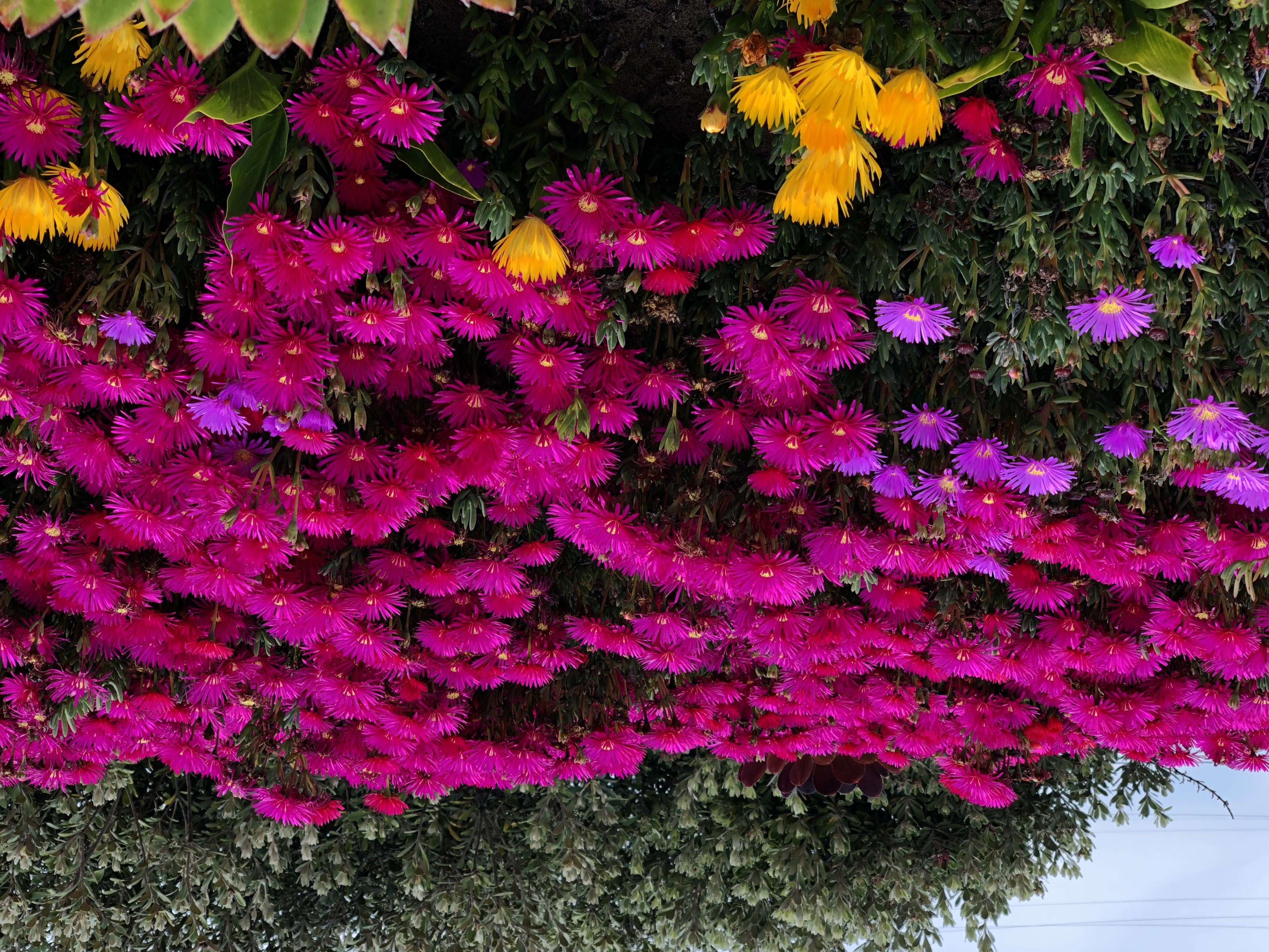 Zoom Image 1